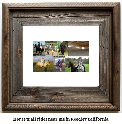 horse trail rides near me in Reedley, California